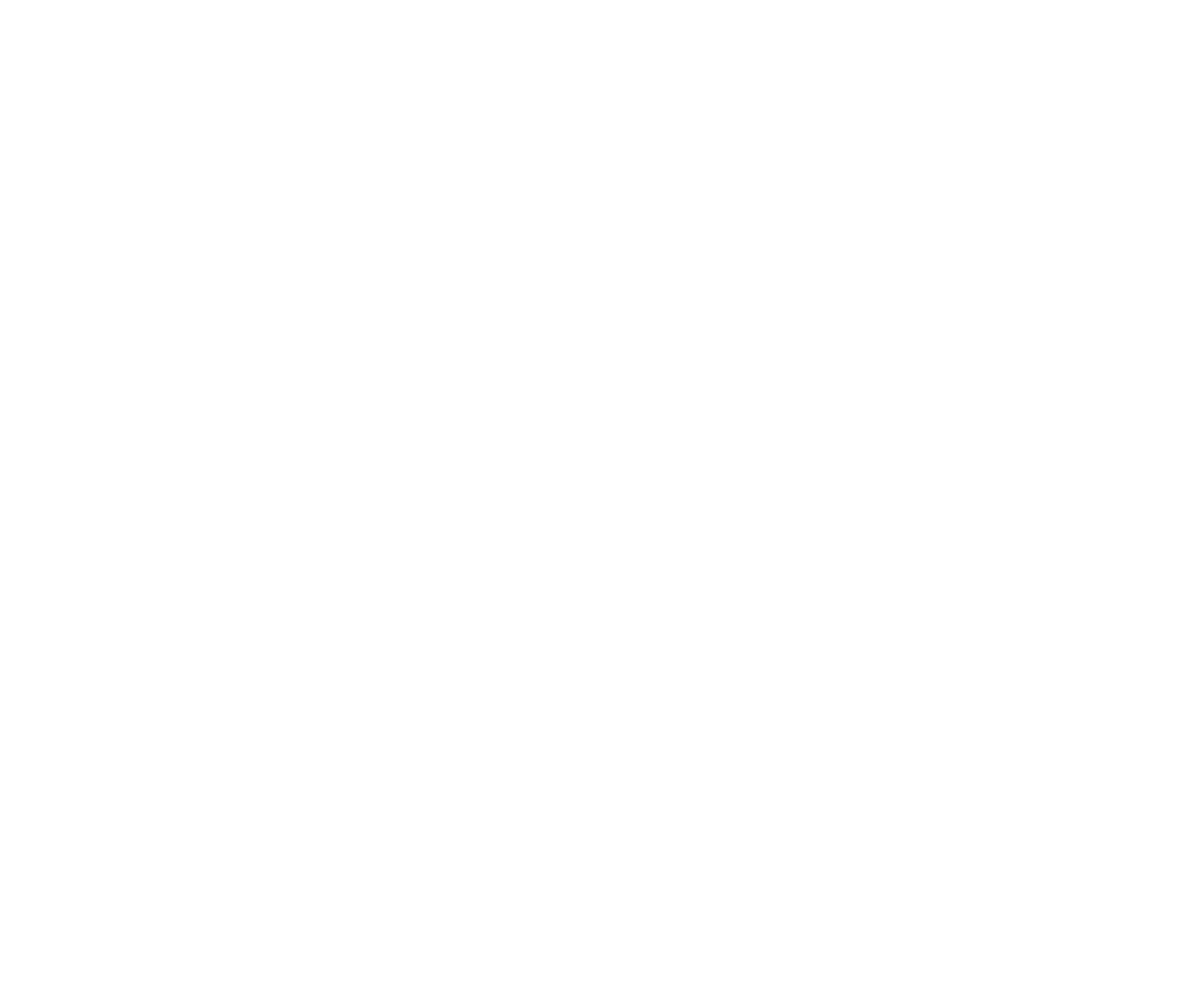 安徽興域科技集團(tuán)有限公司